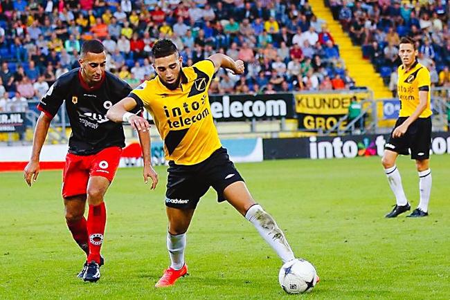 不仅可以提 不仅可以提