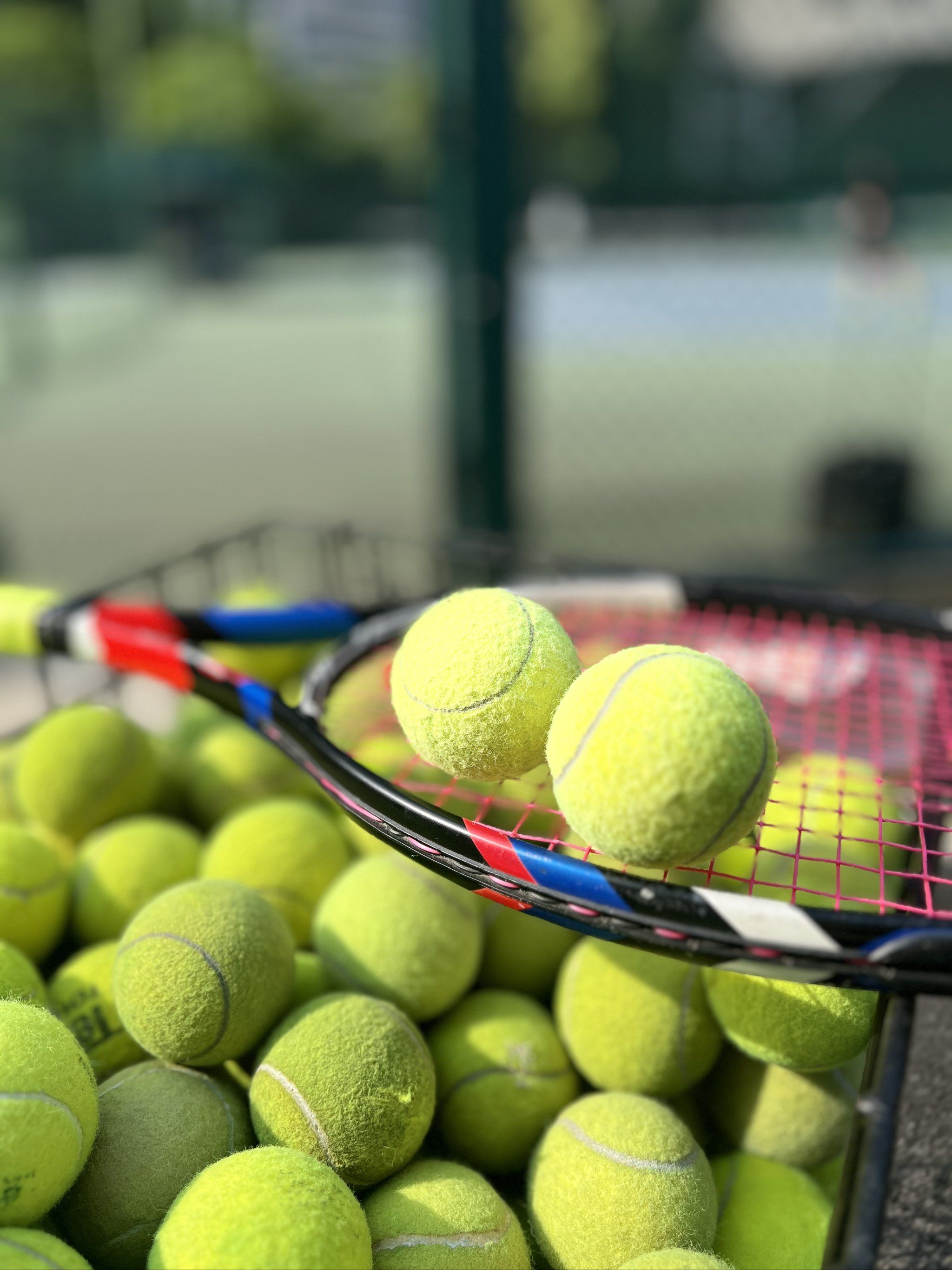 士气或将受 士气或将受